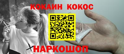 шишки Камышлов