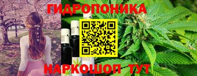 шишки Камышлов