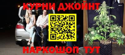 шишки Камышлов