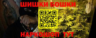 шишки Камышлов