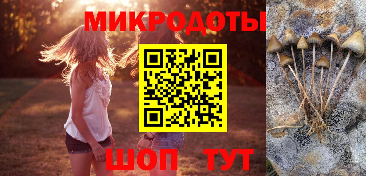 Ленинск-Кузнецкий  Галлюциногенные грибы GOLDEN TEACHER  Вход с VPN  Псилоцибиновые грибы мицелий 